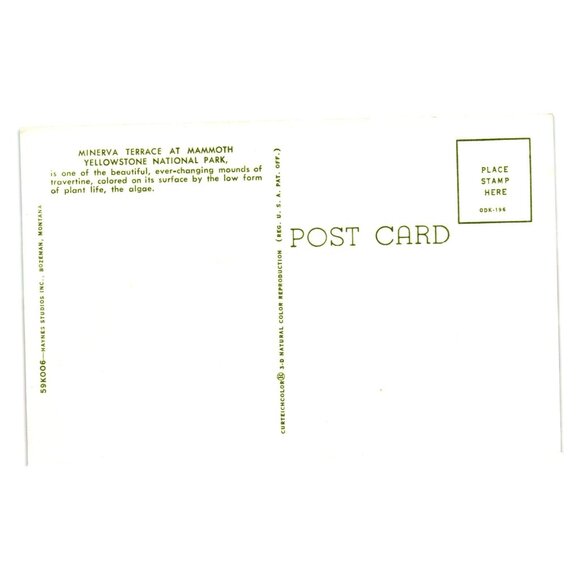 Vintage Yellowstone National Park Minerva Terrace Landscape Postcard Collectible - Picture 2 of 2